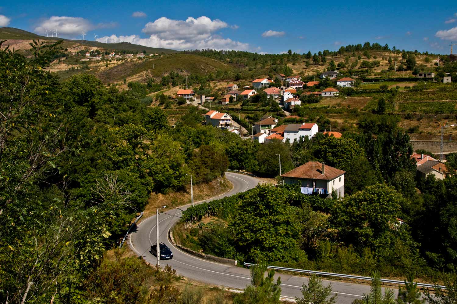 [Image: portelo,-Portugal-_DSC0679-September-08,-2008.jpg]