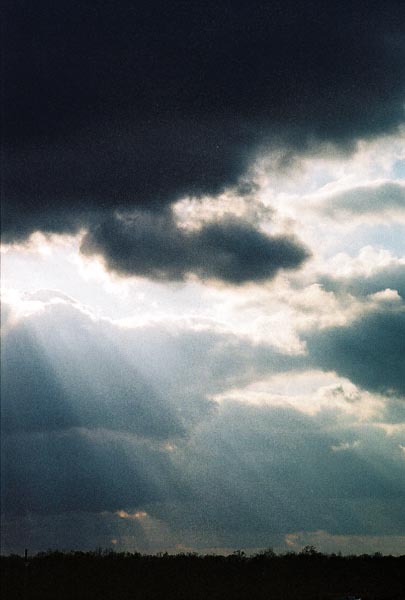 [Image: rain.jpg]