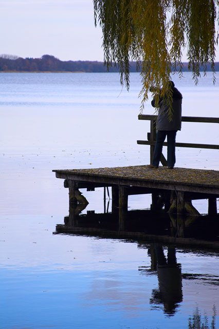 [Image: rd0x8380-01.jpg]