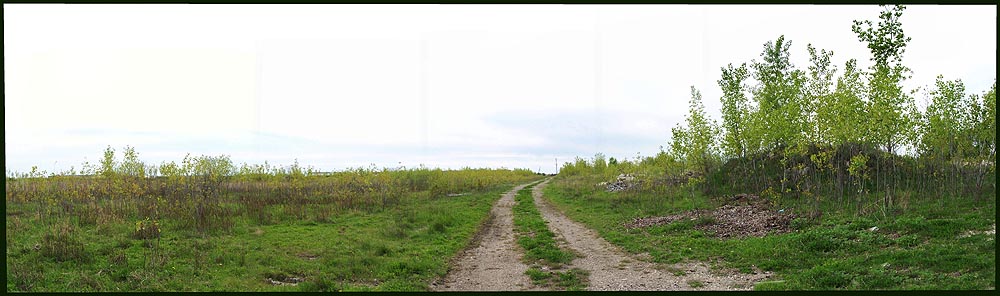 [Image: roadinruinsaSM.jpg]