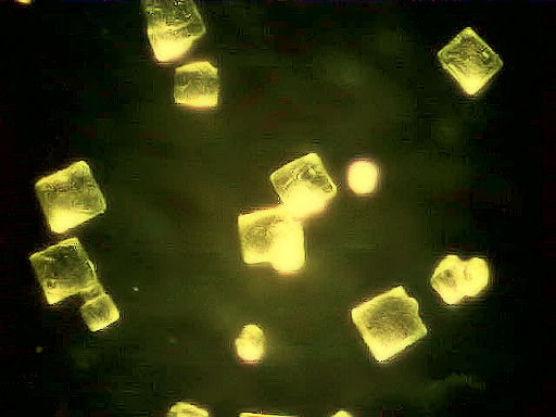 [Image: salt60x.jpg]