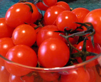 [Image: small%20red%20tomatoes.jpg]