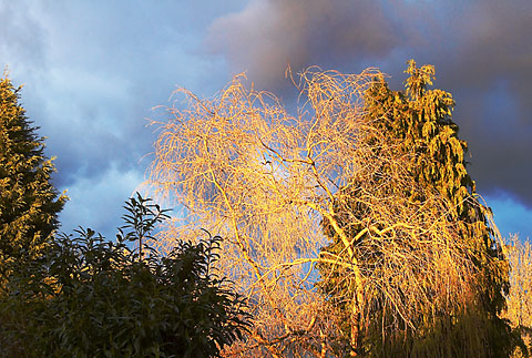[Image: strange%20sky.jpg]