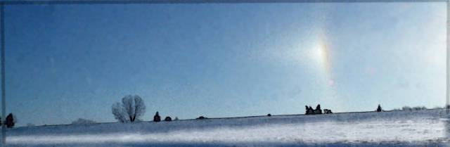 [Image: sundogs2aSM.jpg]