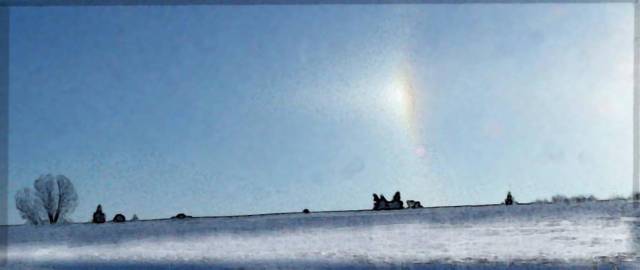 [Image: sundogs2bSM.jpg]
