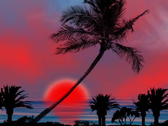 [Image: sunset.jpg]