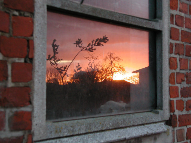 [Image: window.jpg]