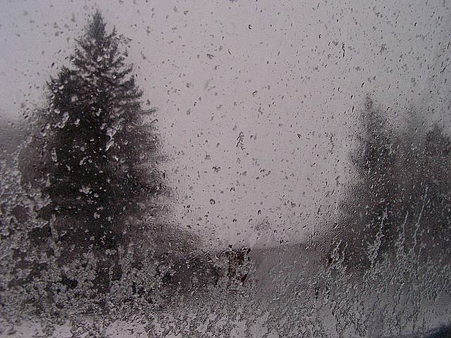 [Image: winter1SM.jpg]