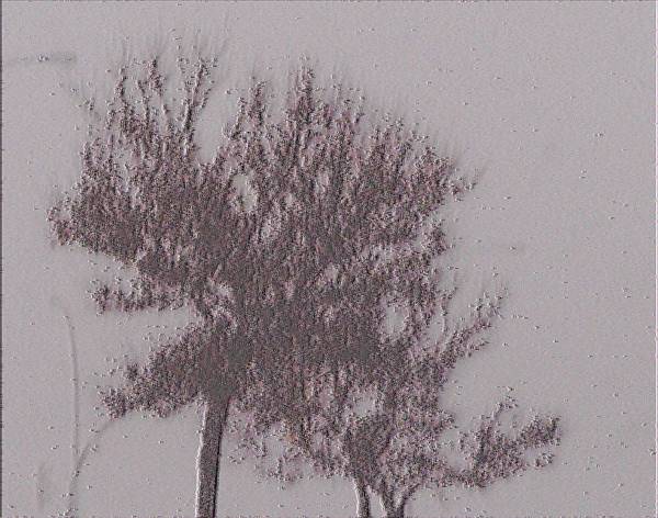 [Image: winter2SM.jpg]
