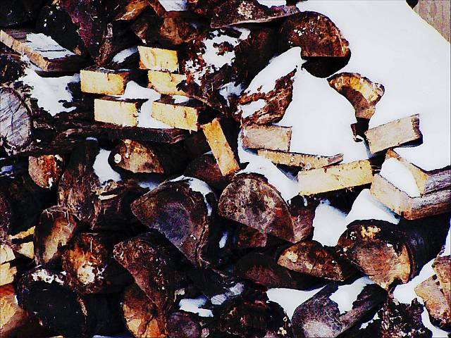 [Image: woodpileSM.jpg]