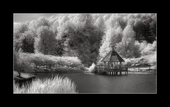 [Image: ir-gazebo.jpg]