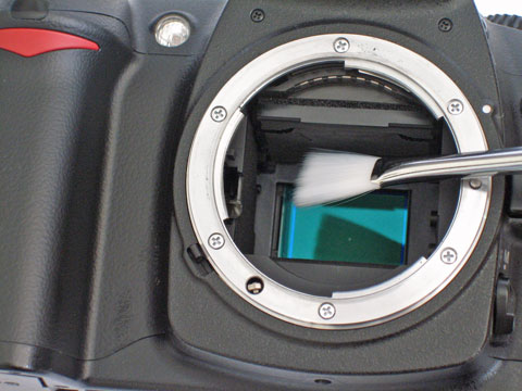 Cleaning the Sensor - note the huge dust particle! Cleaning the Sensor - note the huge dust particle!