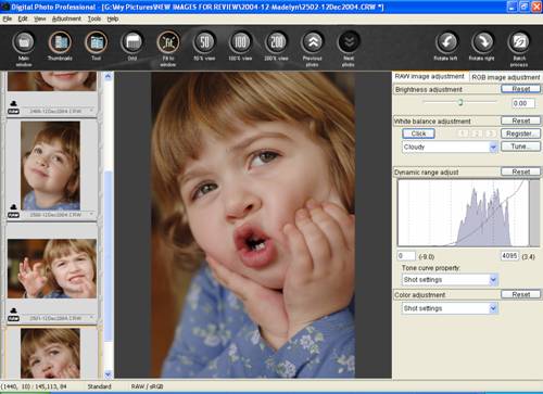 Canon DPP 1.5: 'Edit Image' Window Canon DPP 1.5: 'Edit Image' Window