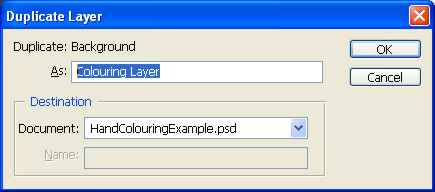 Duplicate Layer