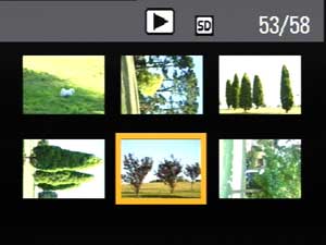 Multi-image view