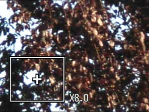 Image magnification Image magnification
