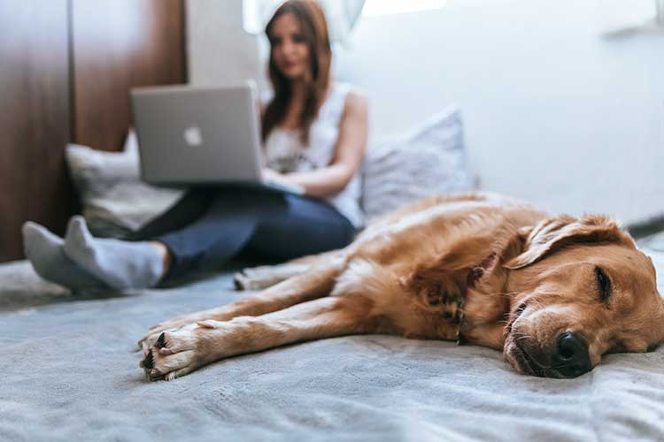 Photos with the man's best friends